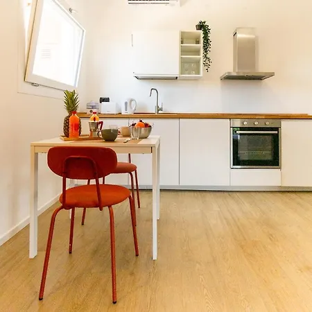 Netflix&chill's Nest Rome